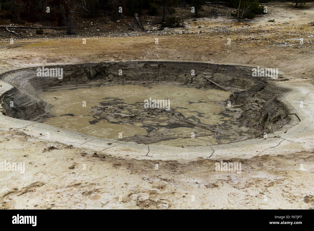Bubbling Mud Hole in Yellowstone Stock Photo Alamy