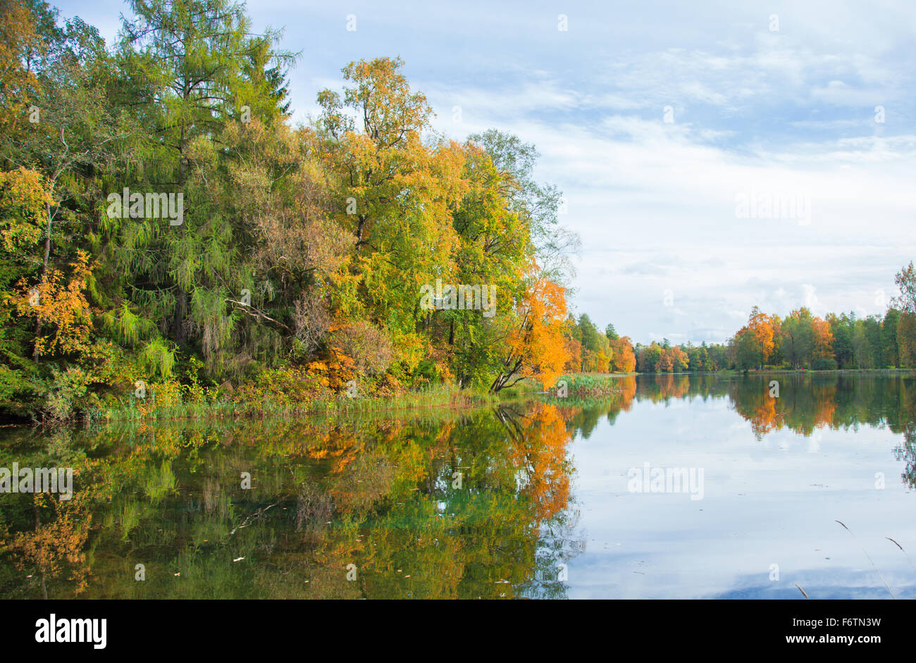 Autumnal Park. Autumn Trees and lake Stock Photo - Alamy