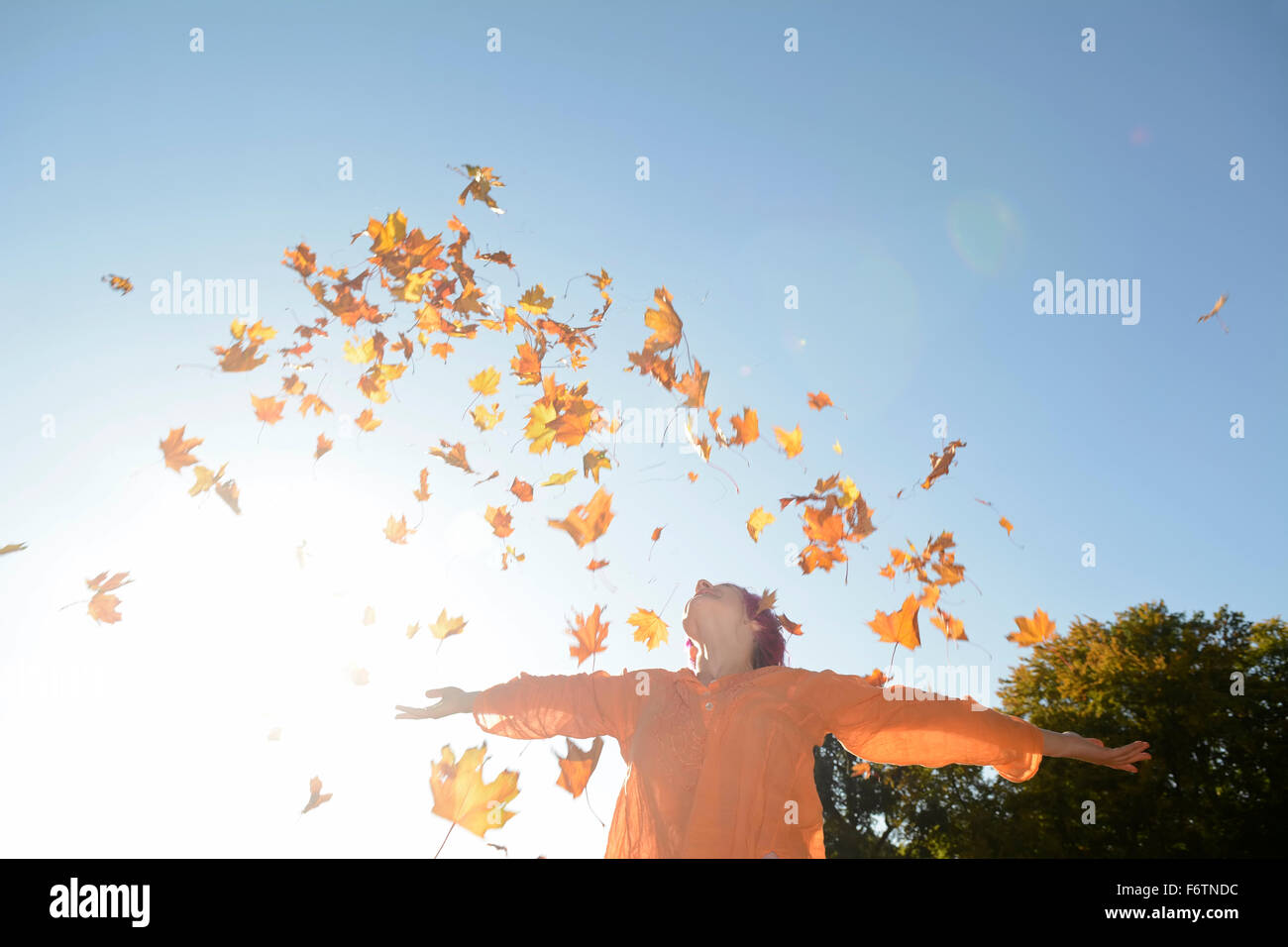 Осенние листья небо. Листопад в воздухе. Маша рупасова книги. Листья в воздухе. Осенняя листва на фоне неба.