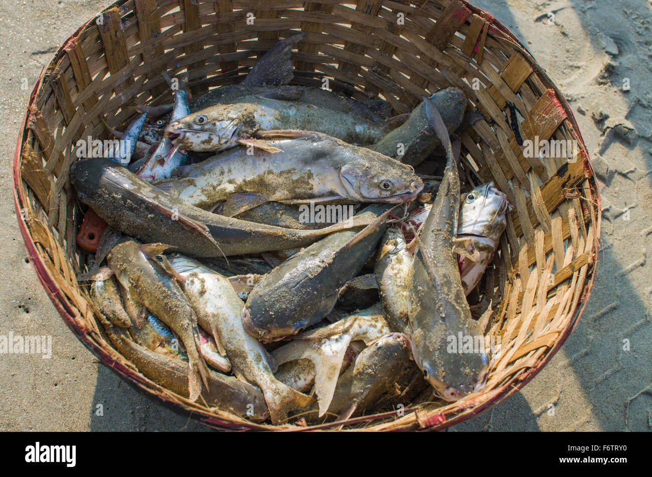 Fishing basket Black and White Stock Photos & Images - Alamy