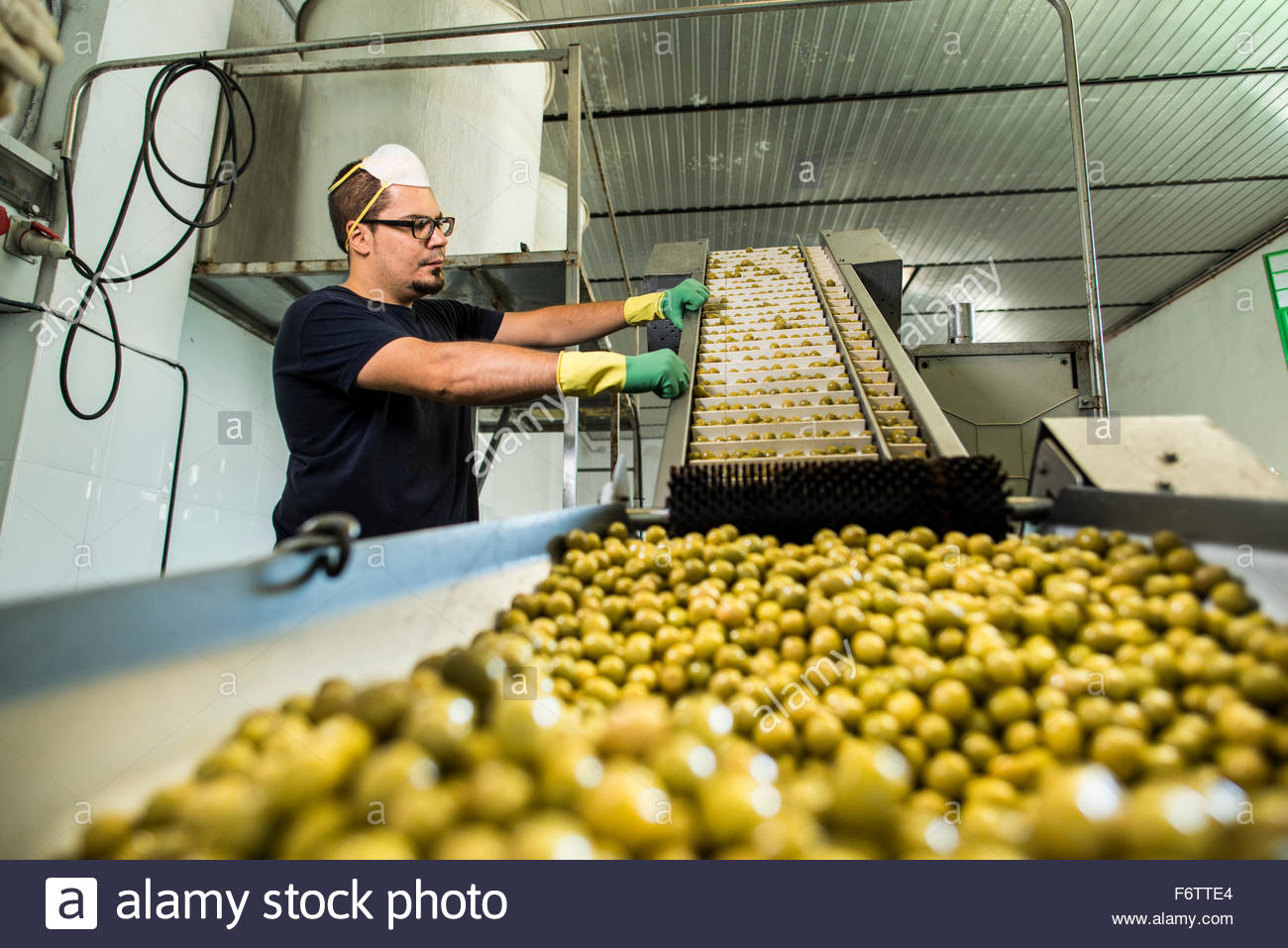 Food Processing Stock Photos & Food Processing Stock Images Alamy