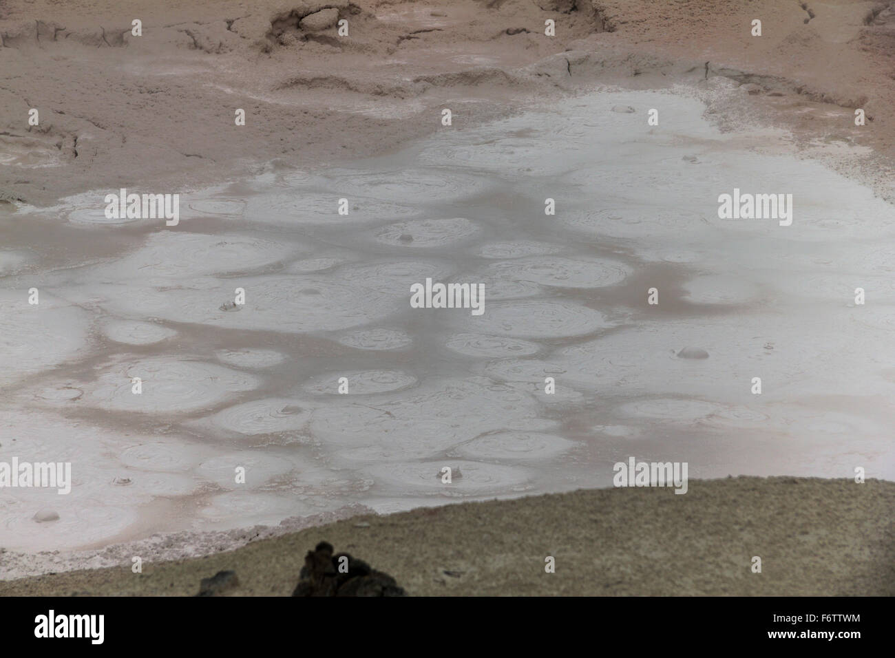 Bubbling Mud Hole in Yellowstone Stock Photo Alamy