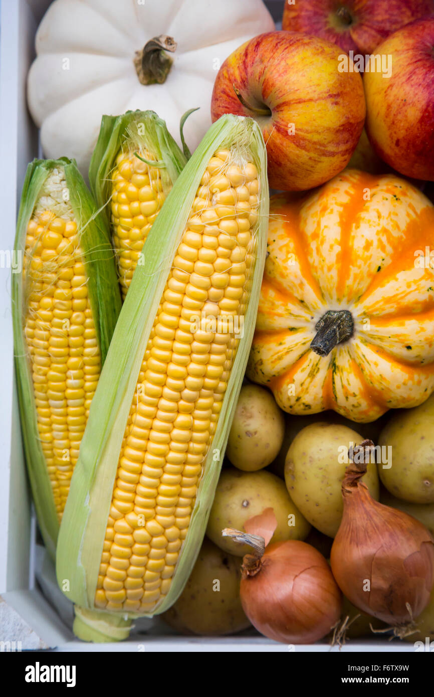 Different organic vegetables and apples in box, autumnally Stock Photo