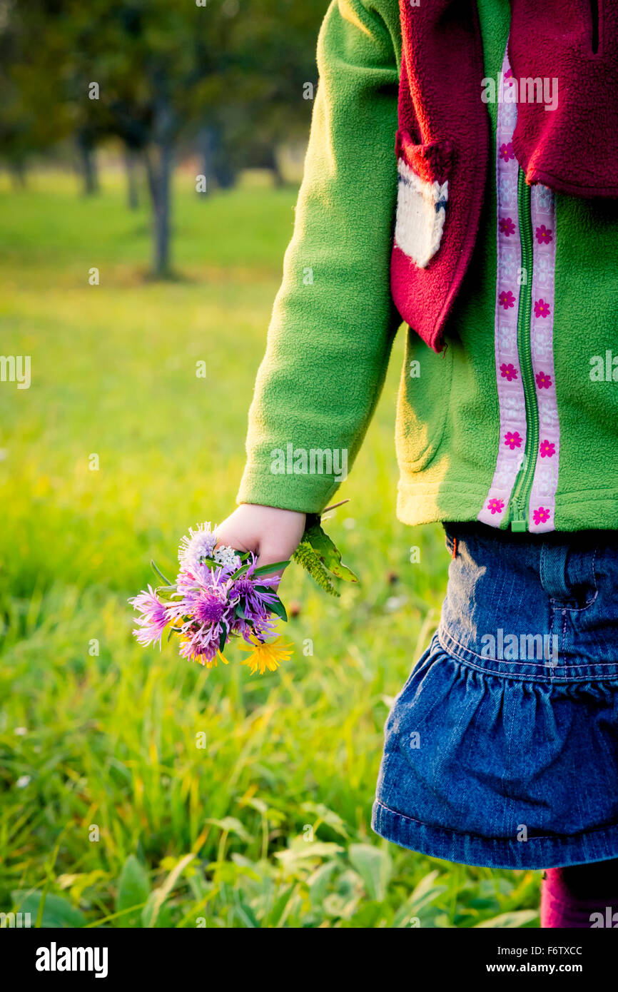 Hand picked meadow flowers hi-res stock photography and images - Alamy