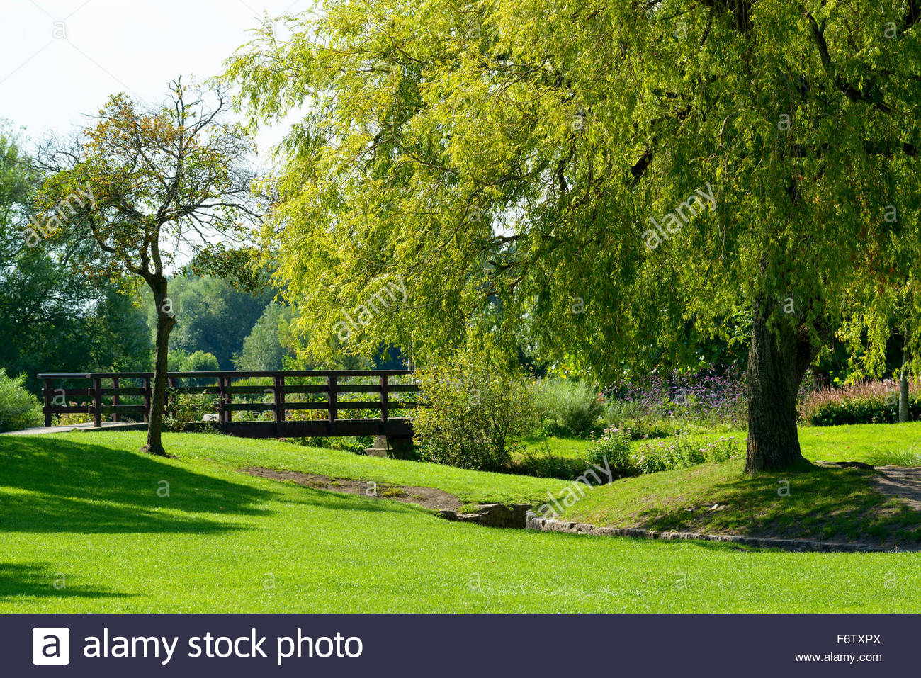 Queen Elizabeth Gardens Salisbury Stock Photos & Queen Elizabeth
