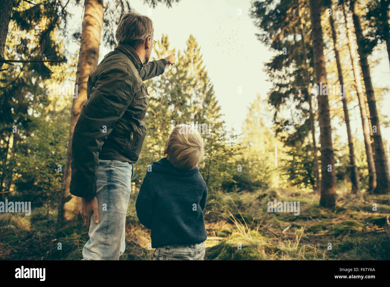 Man showing child a flock of cranes leaving for winter Stock Photo