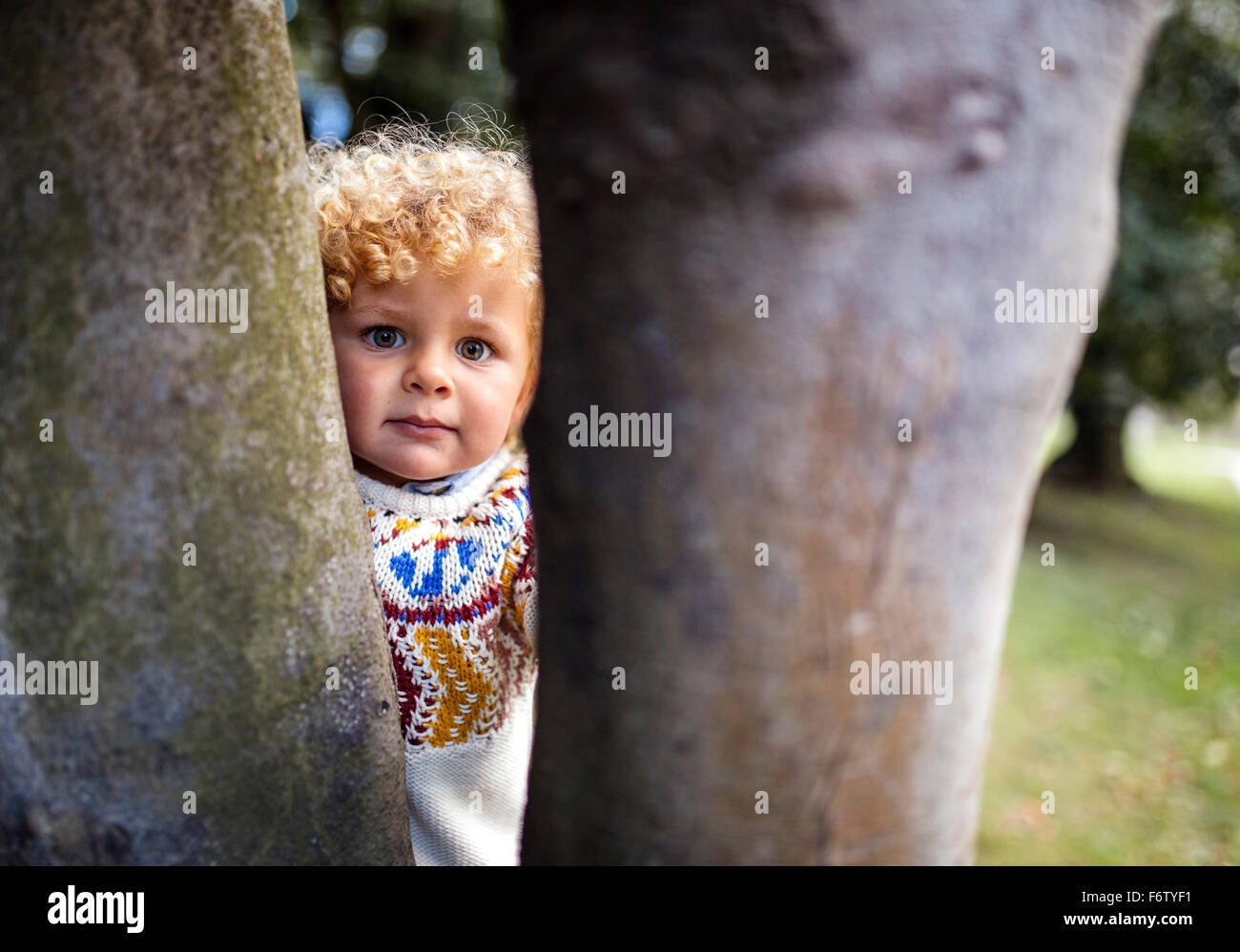 Portrait of blond little boy wearing patterned knit pullover looking between two tree trunks Stock Photo