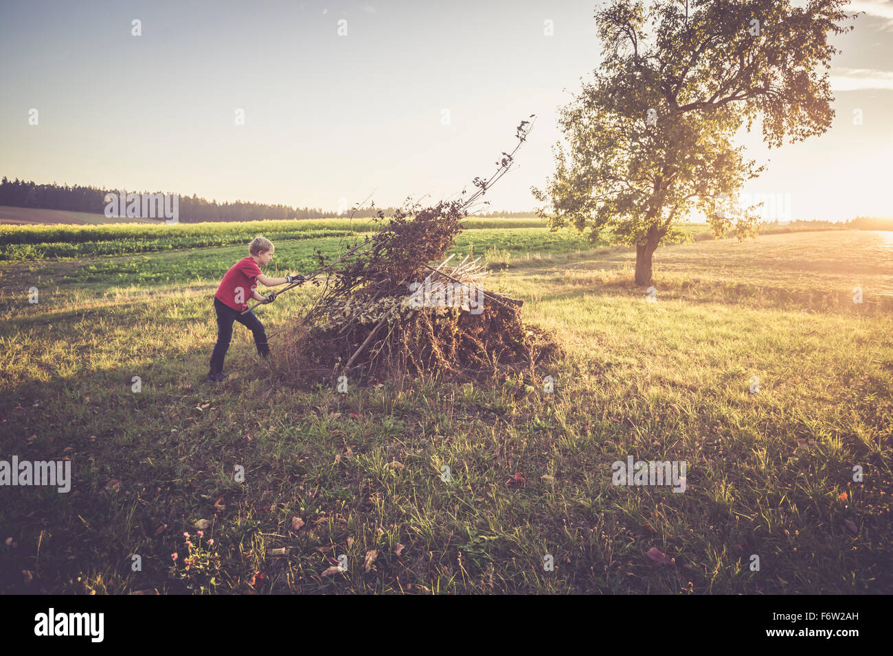 Boy preparing pile of twigs and leaves for a camp fire Stock Photo Alamy
