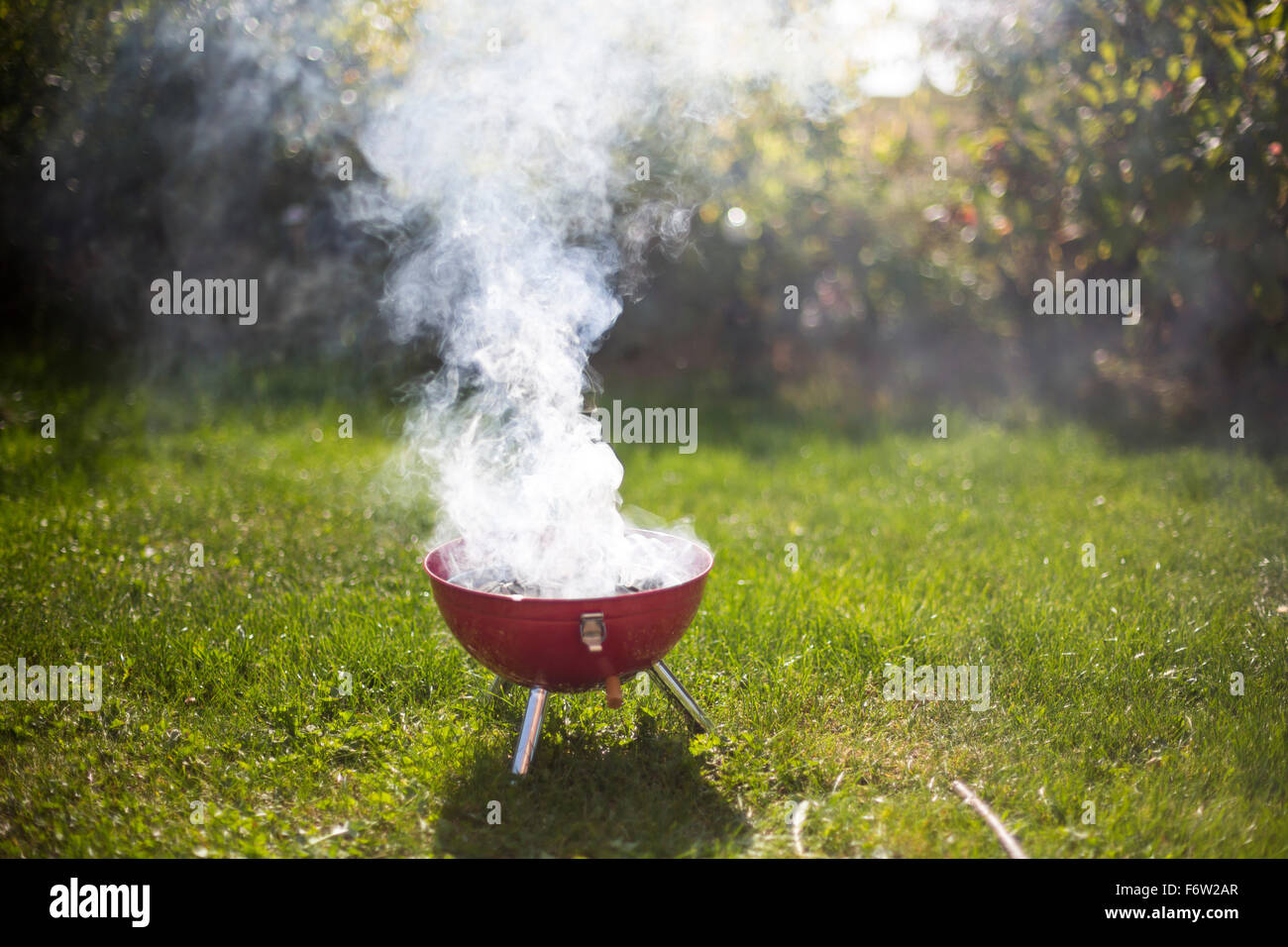 Smoking barbecue grill in garden Stock Photo - Alamy