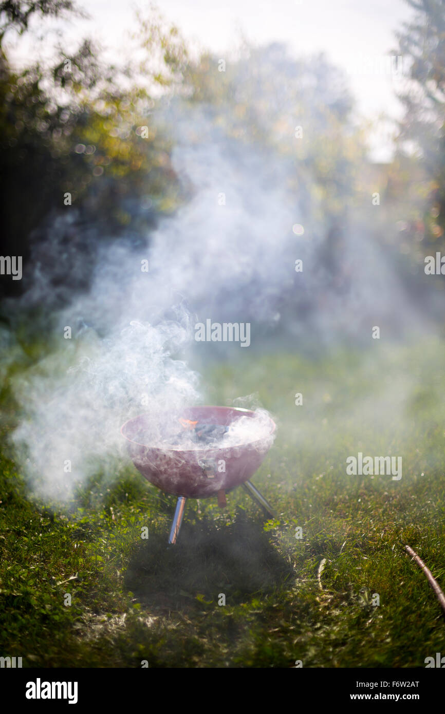 Smoking barbecue grill in garden Stock Photo - Alamy