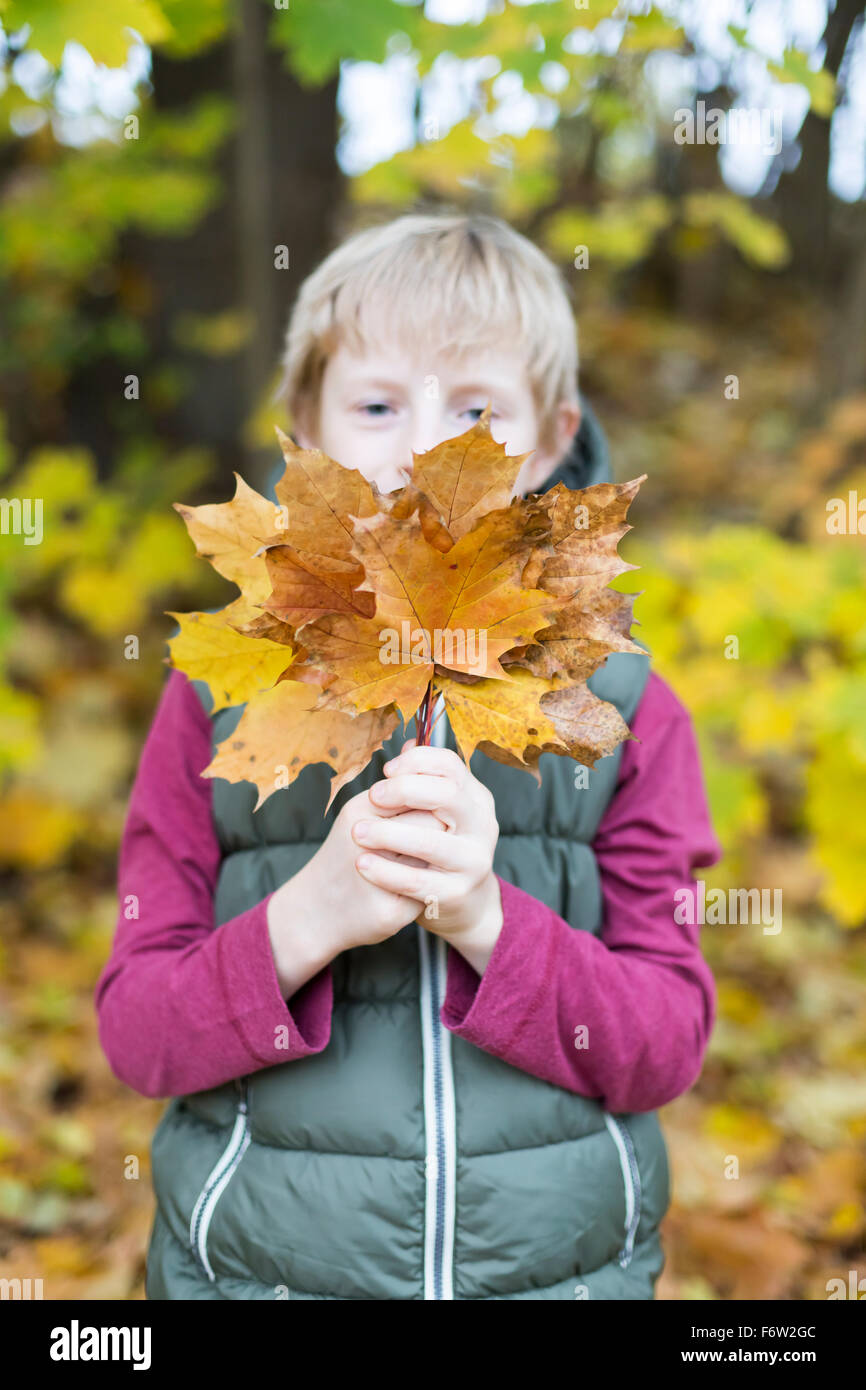 Boy holding bunch of autumn leaves Stock Photo - Alamy