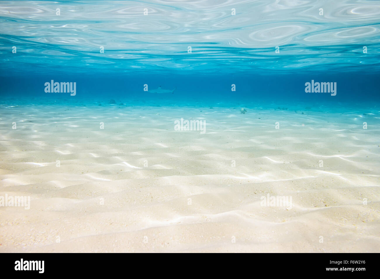 underwater background with sandy sea bottom Stock Photo
