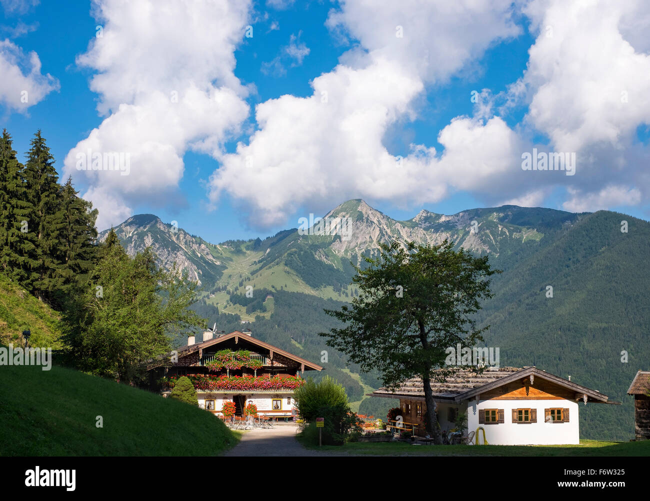 Streichen High Resolution Stock Photography and Images - Alamy