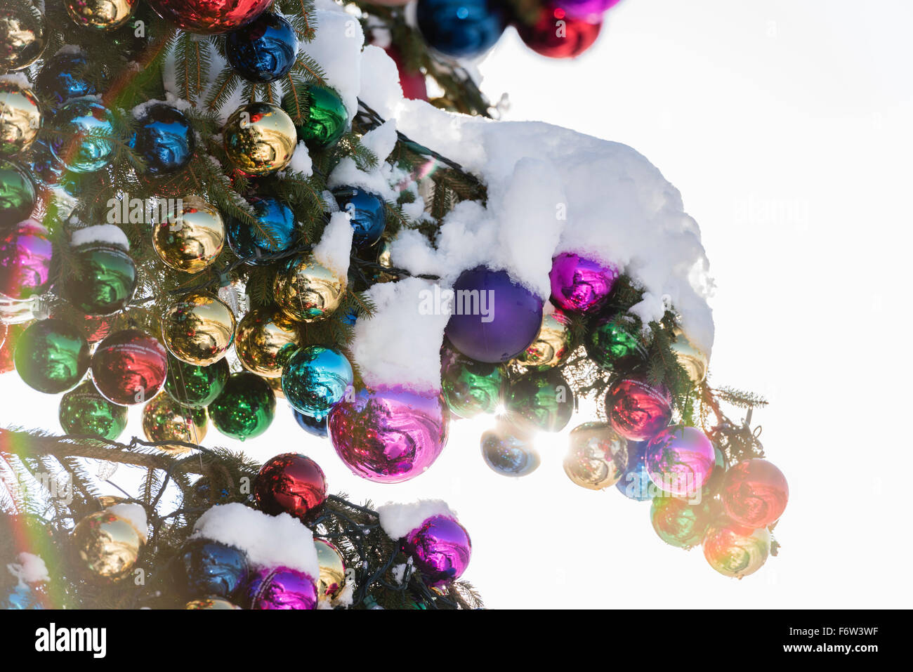 Colourful Christmas ball ornaments on a giant Christmas tree on