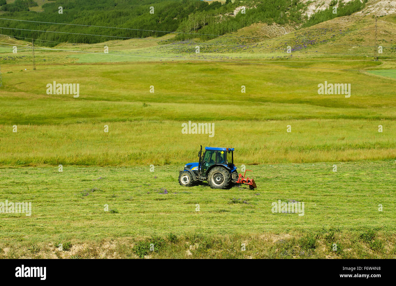 tractor cultivating field Stock Photo Alamy