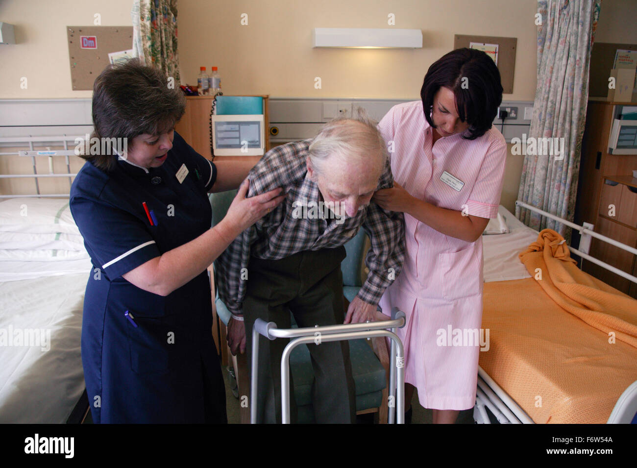 Nurse with disability and health care worker assisting elderly patient to mobilise and transfer into chair using Zimmer frame, Stock Photo