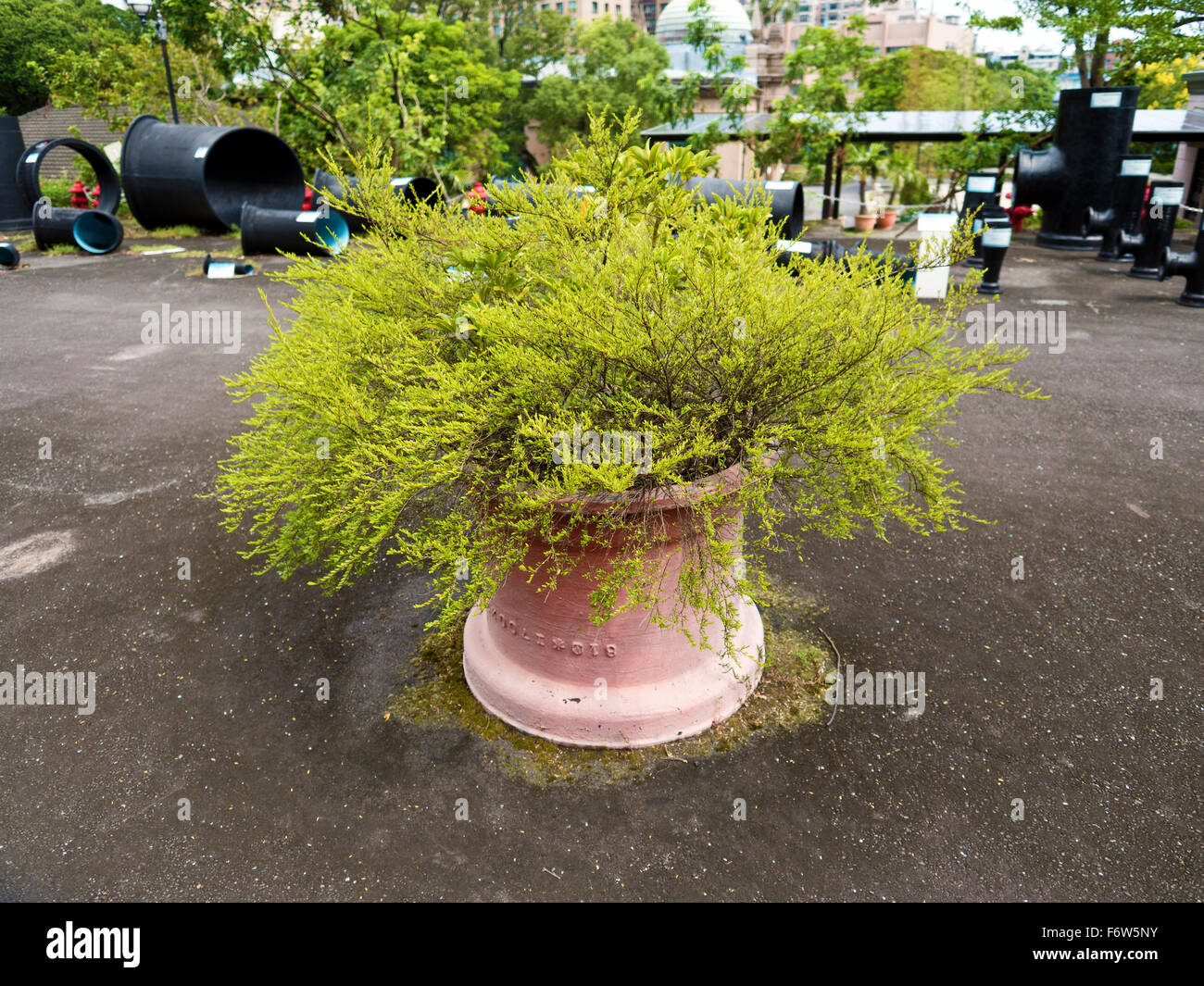 big plant pot on ground,Taipei Stock Photo