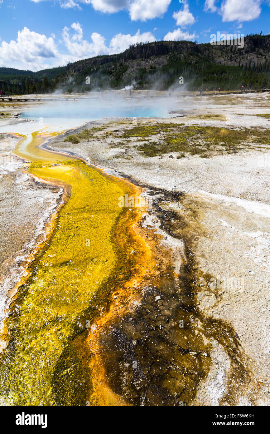 Golden surface in Yellowstone Stock Photo - Alamy