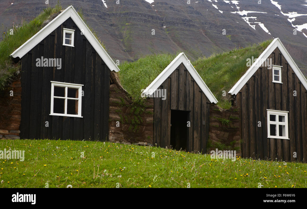 Icelandic black turf houses in North Iceland Stock Photo Alamy