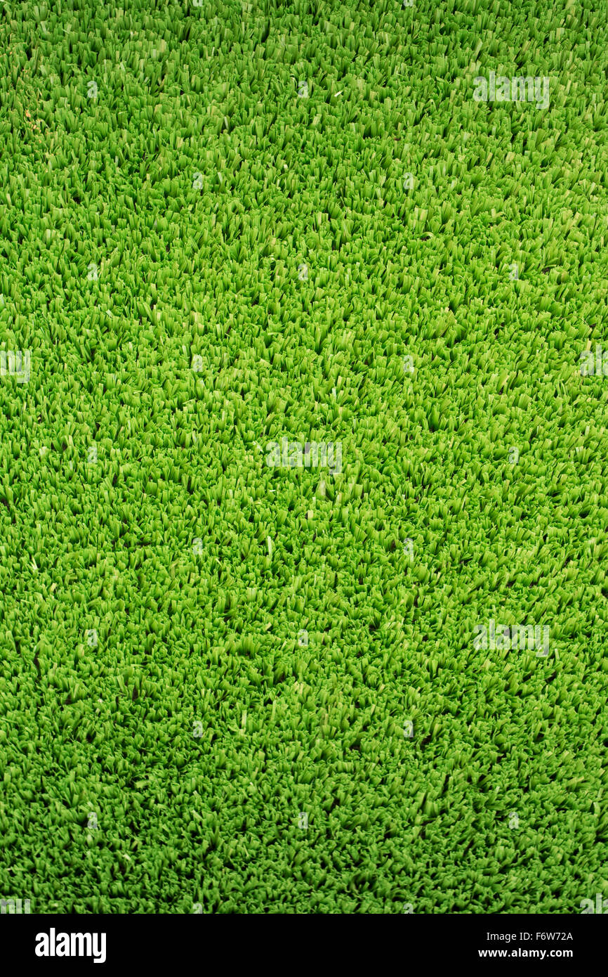 Green grass background hi-res stock photography and images - Alamy