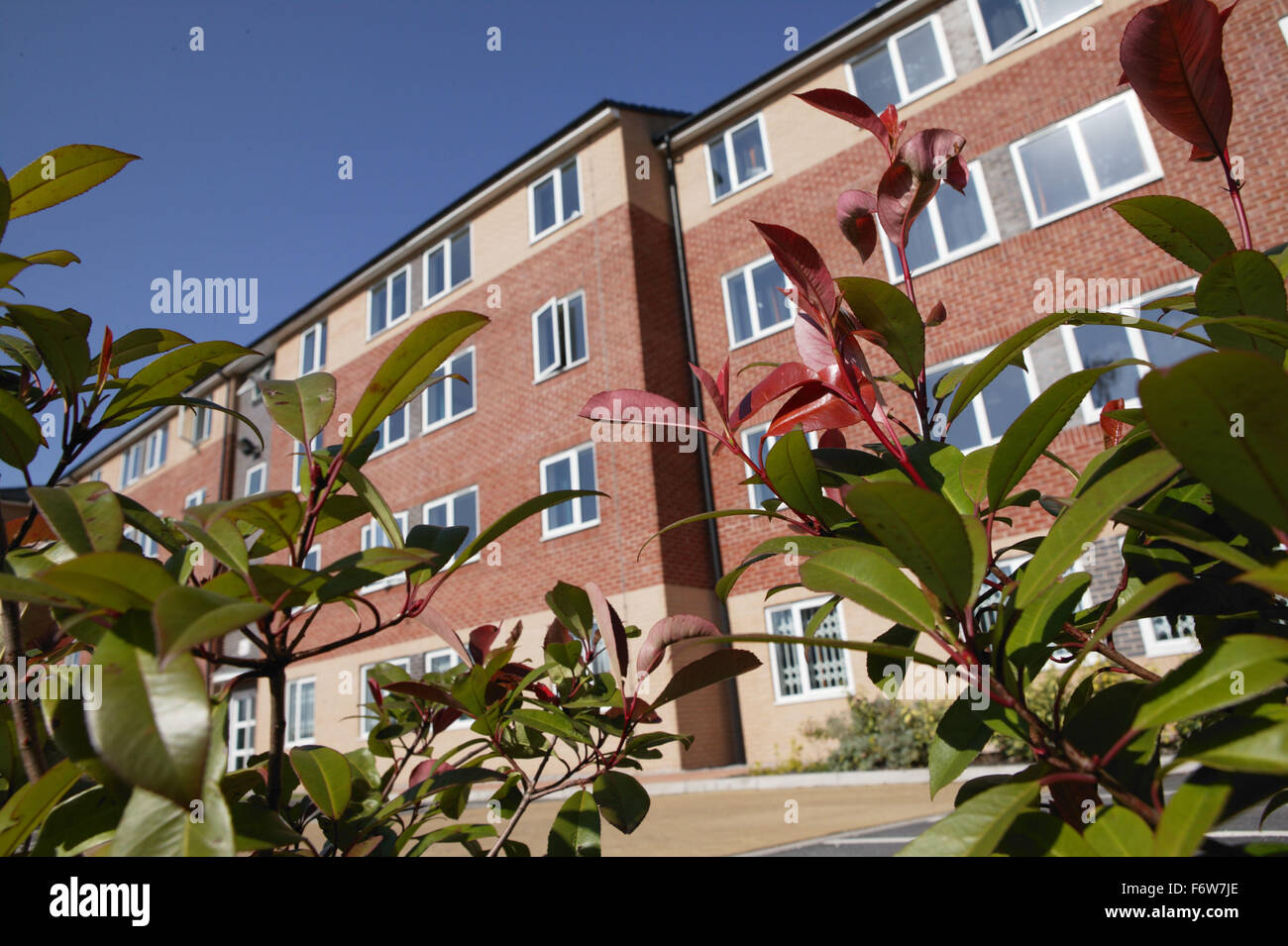 Raleigh Park; new student in the Lenton area of
