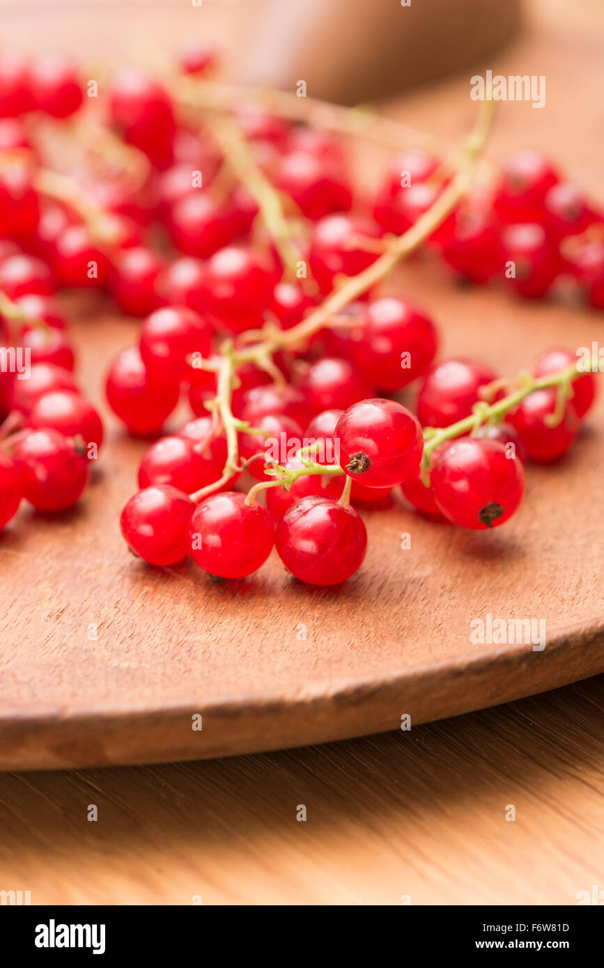 Closeup of red ripe redcurrant berries. Stock Photo