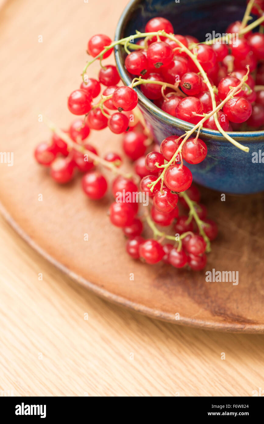 Closeup of red ripe redcurrant berries in a bowl. Stock Photo