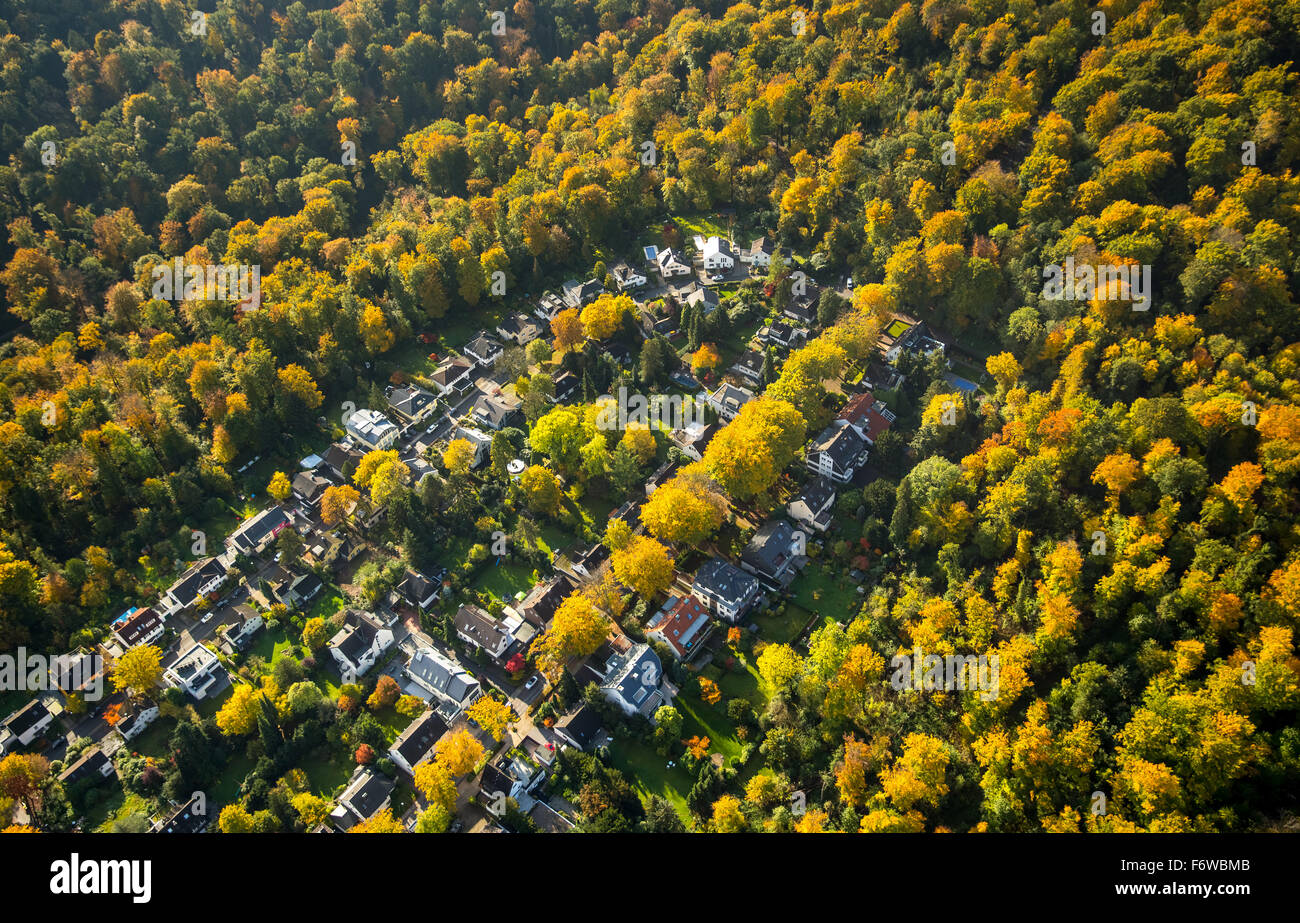 Living in the countryside, residential area in Renteilichtung Schellenberger forest, autumn woods, Essen, Ruhr area, Stock Photo