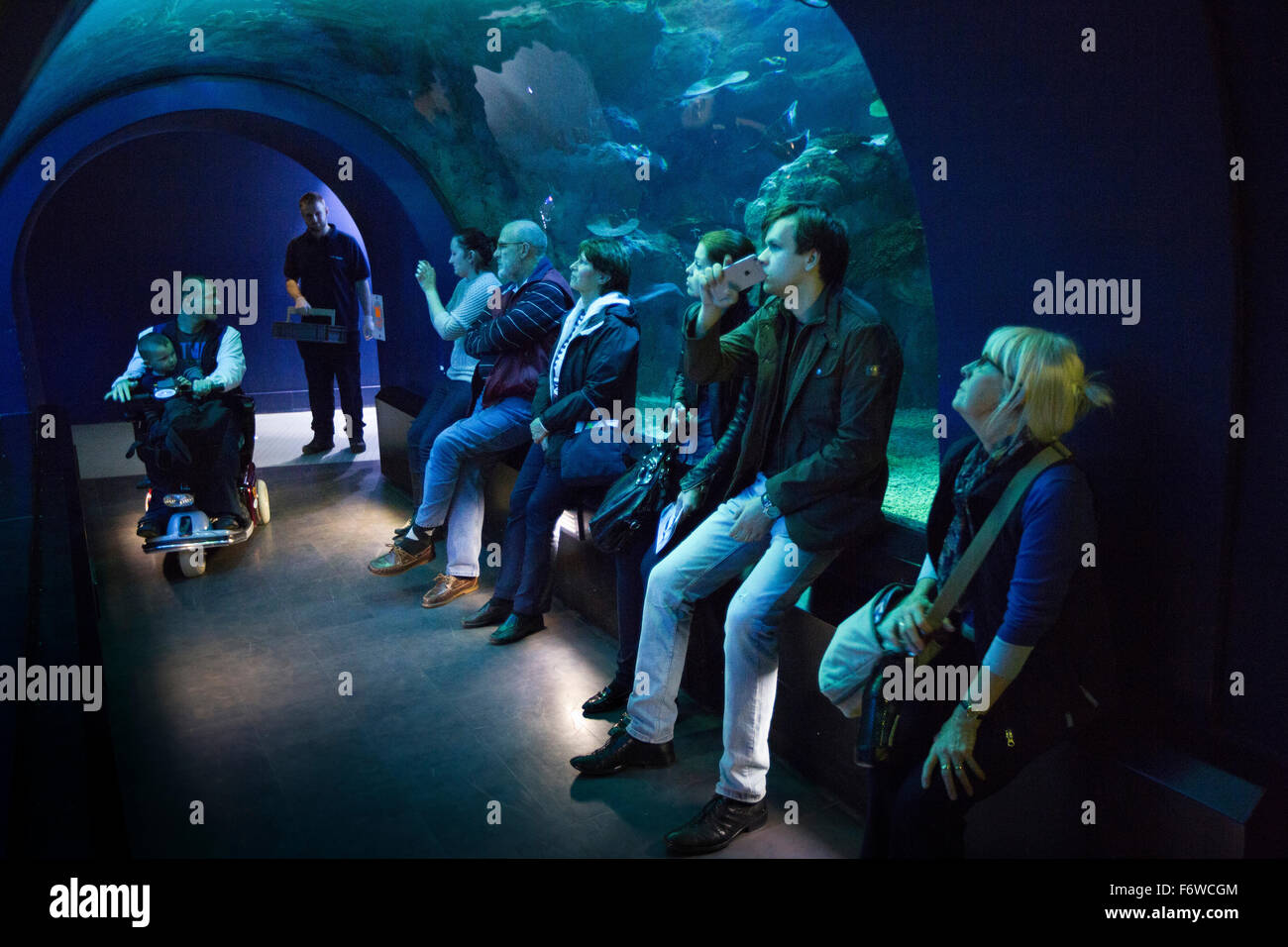 UK, England, Yorkshire, Hull, The Deep marine aquarium, Endless Ocean visitors in tunnel Stock Photo
