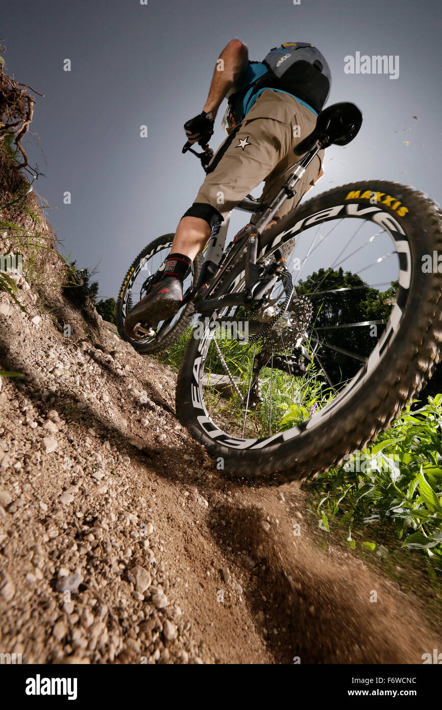 Mountain biker off-roading, Eckbauer, Garmisch-Partenkirchen, Bavaria, Germany Stock Photo