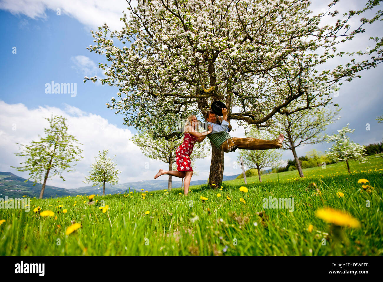 Woman pushing a man on a swing in an apple tree, Stubenberg, Styria, Austria Stock Photo