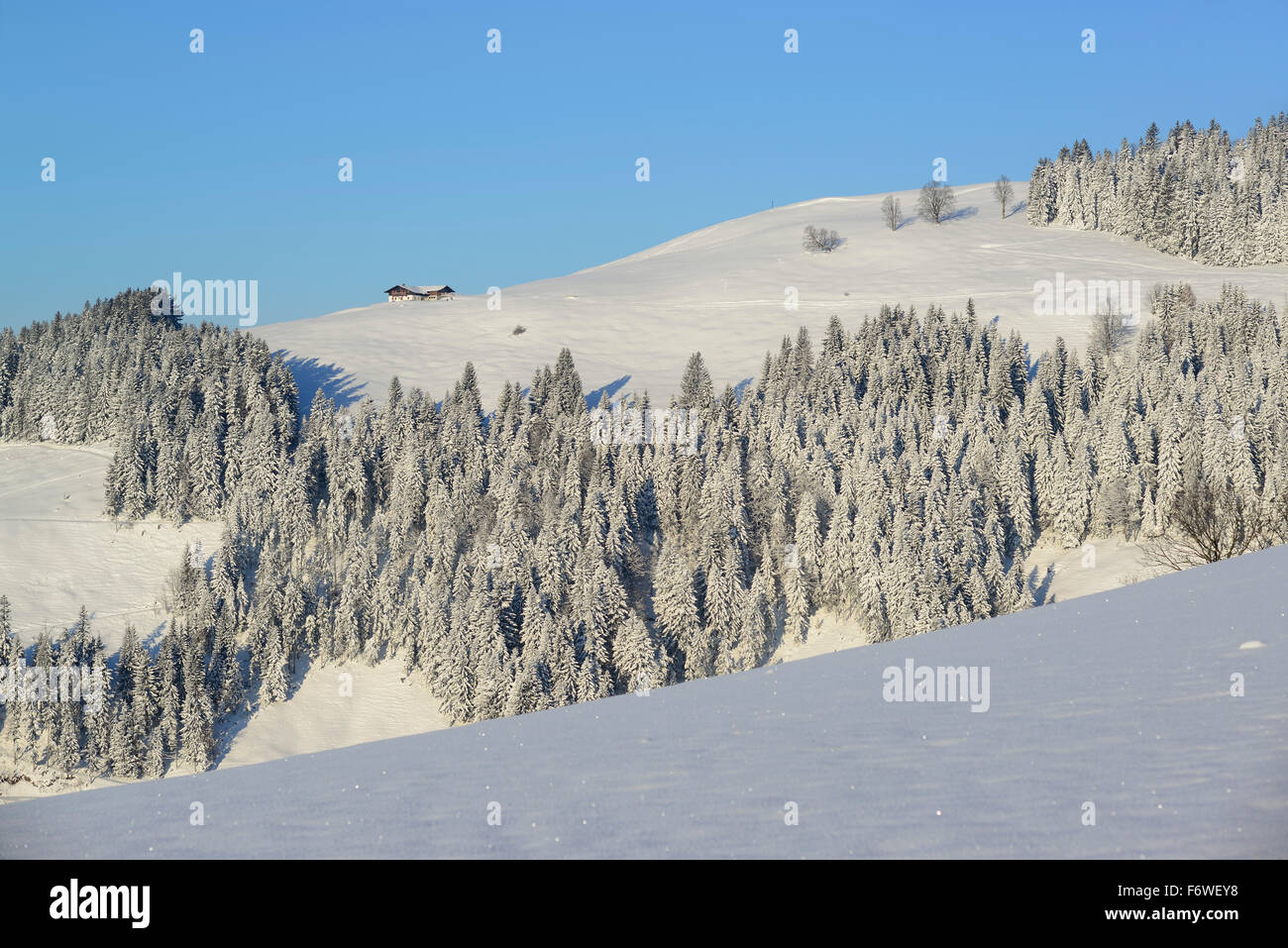 Snow-covered alps at Brennkopf, Brennkopf, Chiemgau range, Tyrol, Austria Stock Photo