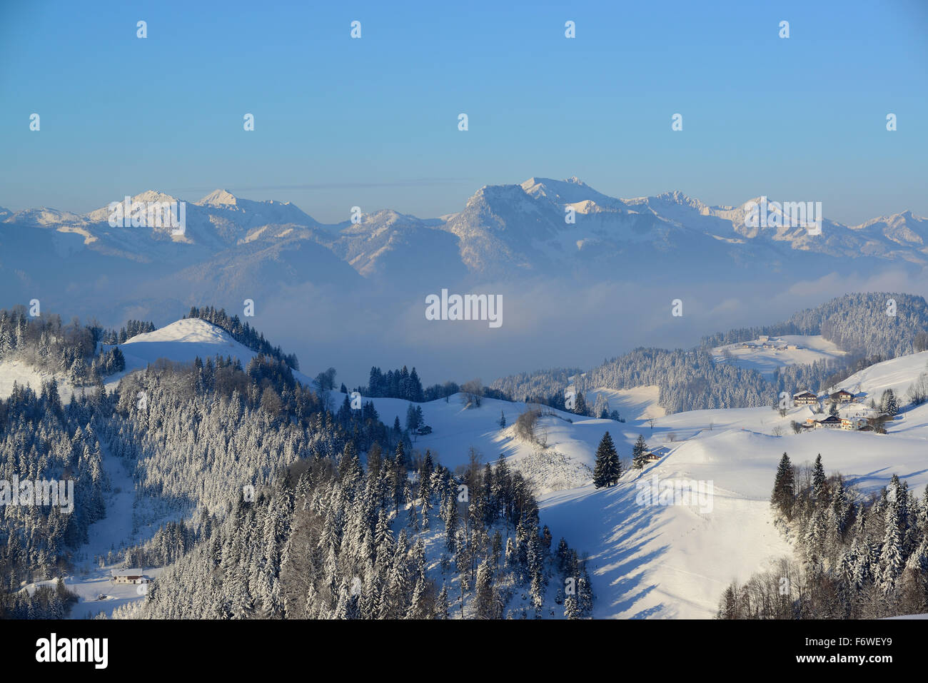 Snow-covered alps at Brennkopf, Mangfall range in background, Brennkopf, Chiemgau range, Tyrol, Austria Stock Photo