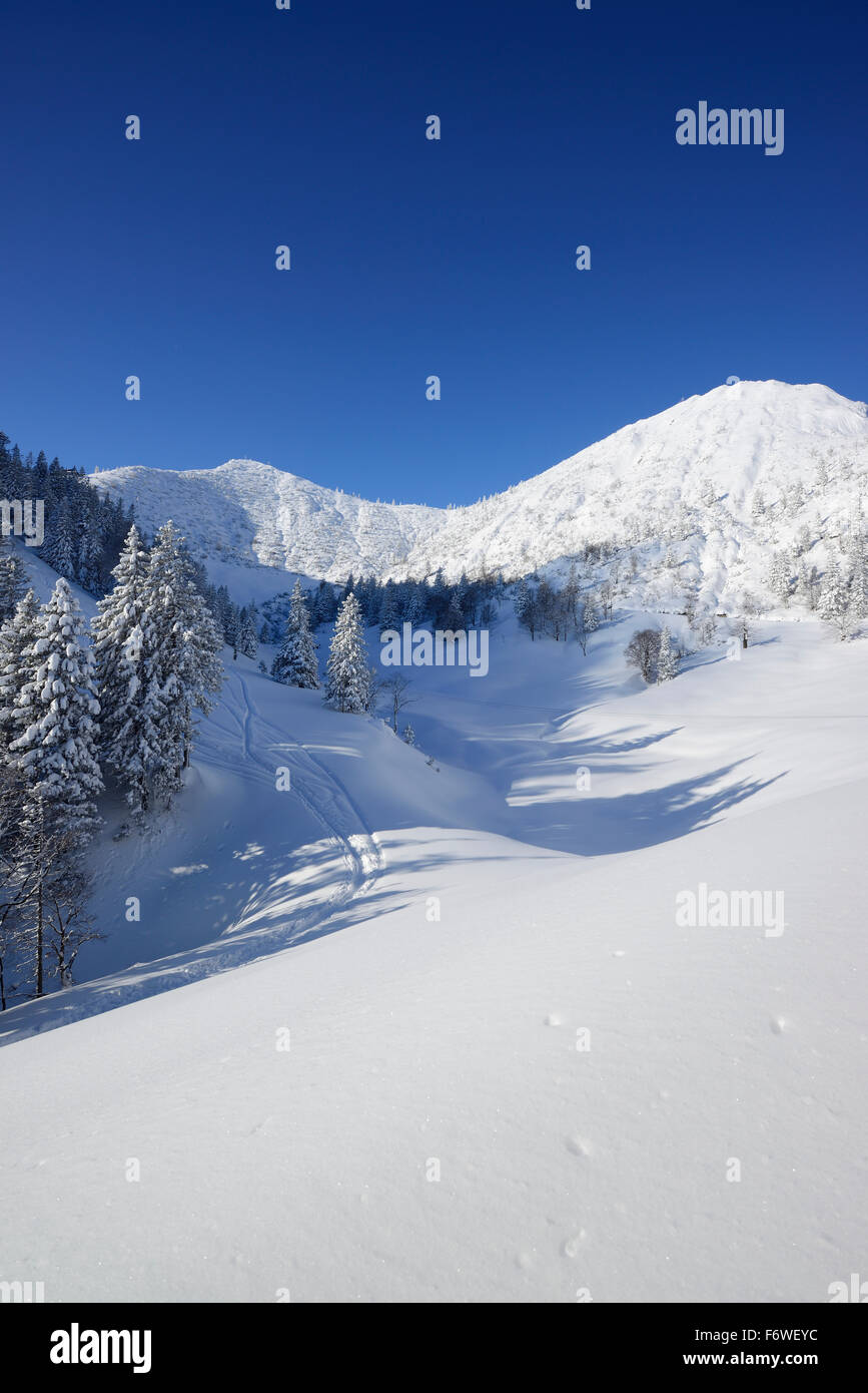 View to snow-covered Herzogstand, Herzogstand, Bavarian Alps, Upper Bavaria, Bavaria, Germany Stock Photo