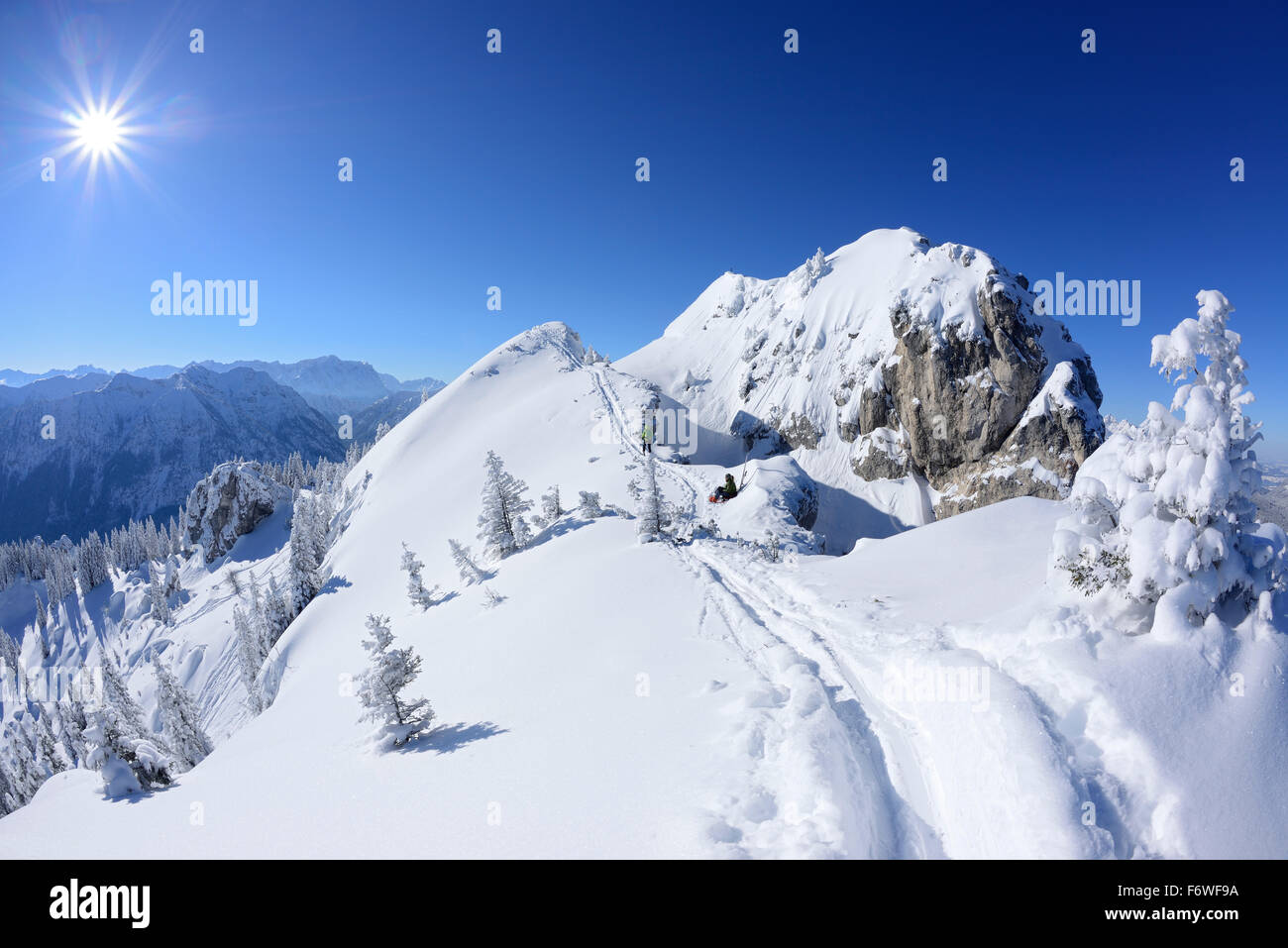 Snow-covered summit of Teufelstaettkopf, Teufelstaettkopf, Puerschling, Ammergauer Alps, Upper Bavaria, Bavaria, Germany Stock Photo