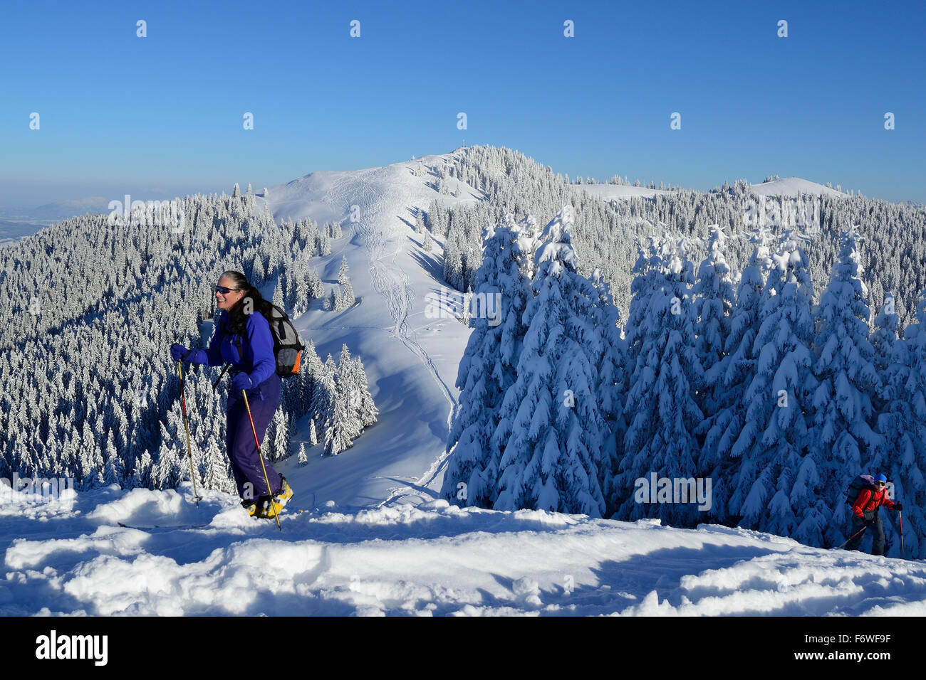 Two persons back-country skiing ascending to Hoernle, Hoernle, Ammergauer Alps, Upper Bavaria, Bavaria, Germany Stock Photo