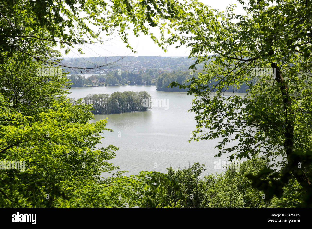 View over lake Breiter Luzin, Feldberger Seenlandschaft, Mecklenburg-Western Pomerania, Germany Stock Photo