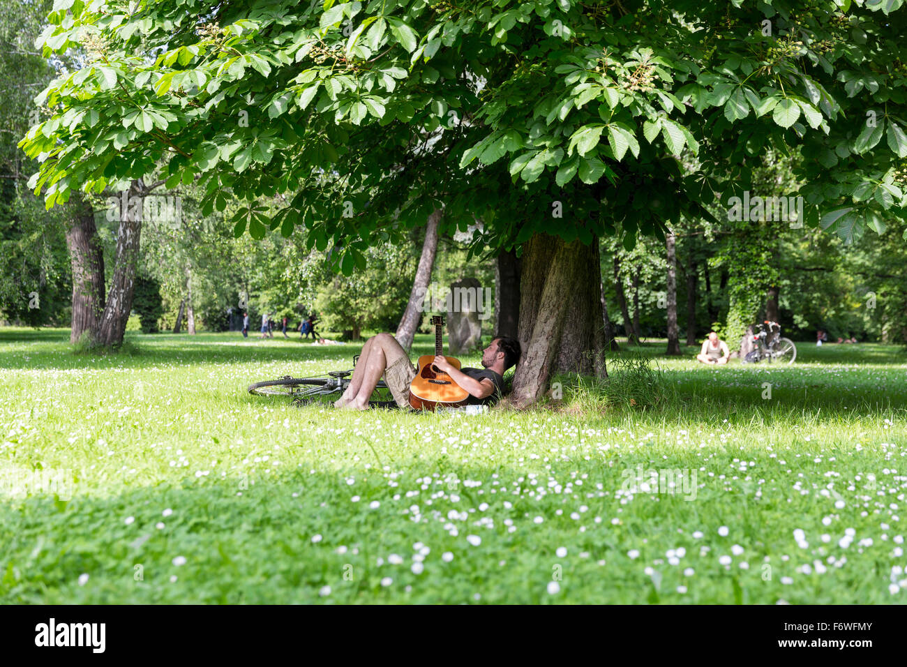 Man playing a guitar under a tree, Friedenspark, Leipzig, Saxony, Germany Stock Photo