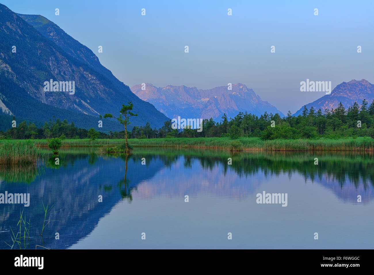 Zugspitze reflecting in a lake, Sieben Quellen, Eschenlohe, Werdenfels, Wetterstein range, Upper Bavaria, Bavaria, Germany Stock Photo