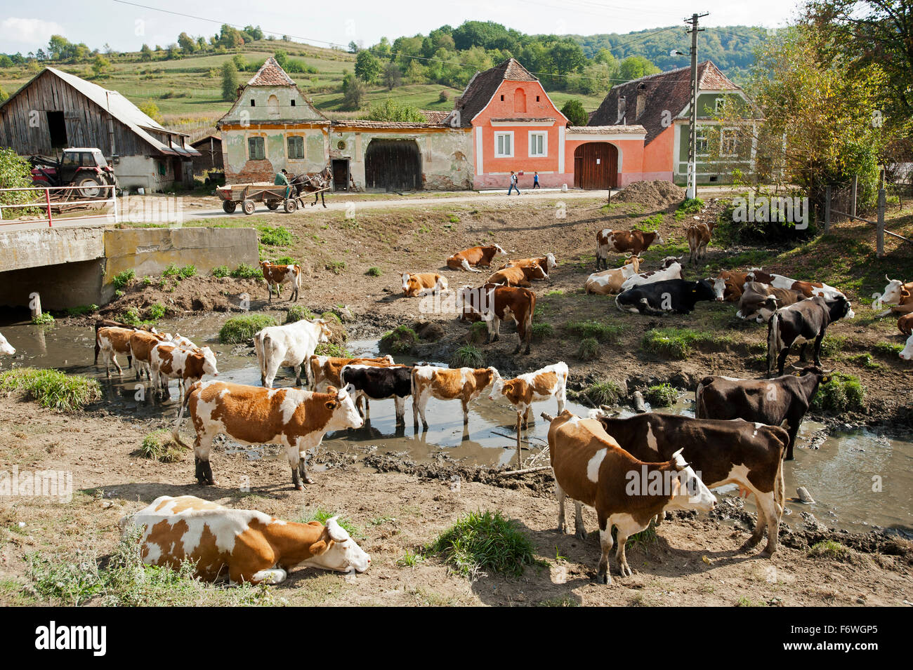 The village of Valchid, Transylvania, Romania Stock Photo