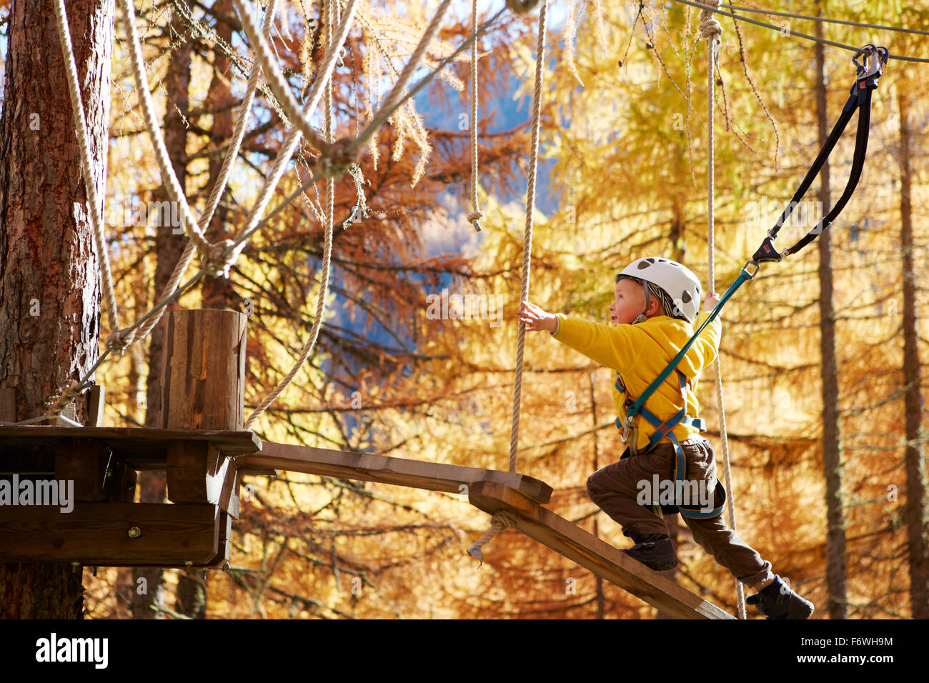 Boy in a high ropes course, Vernagt am See, Schnals Valley, South Tyrol, Italy Stock Photo