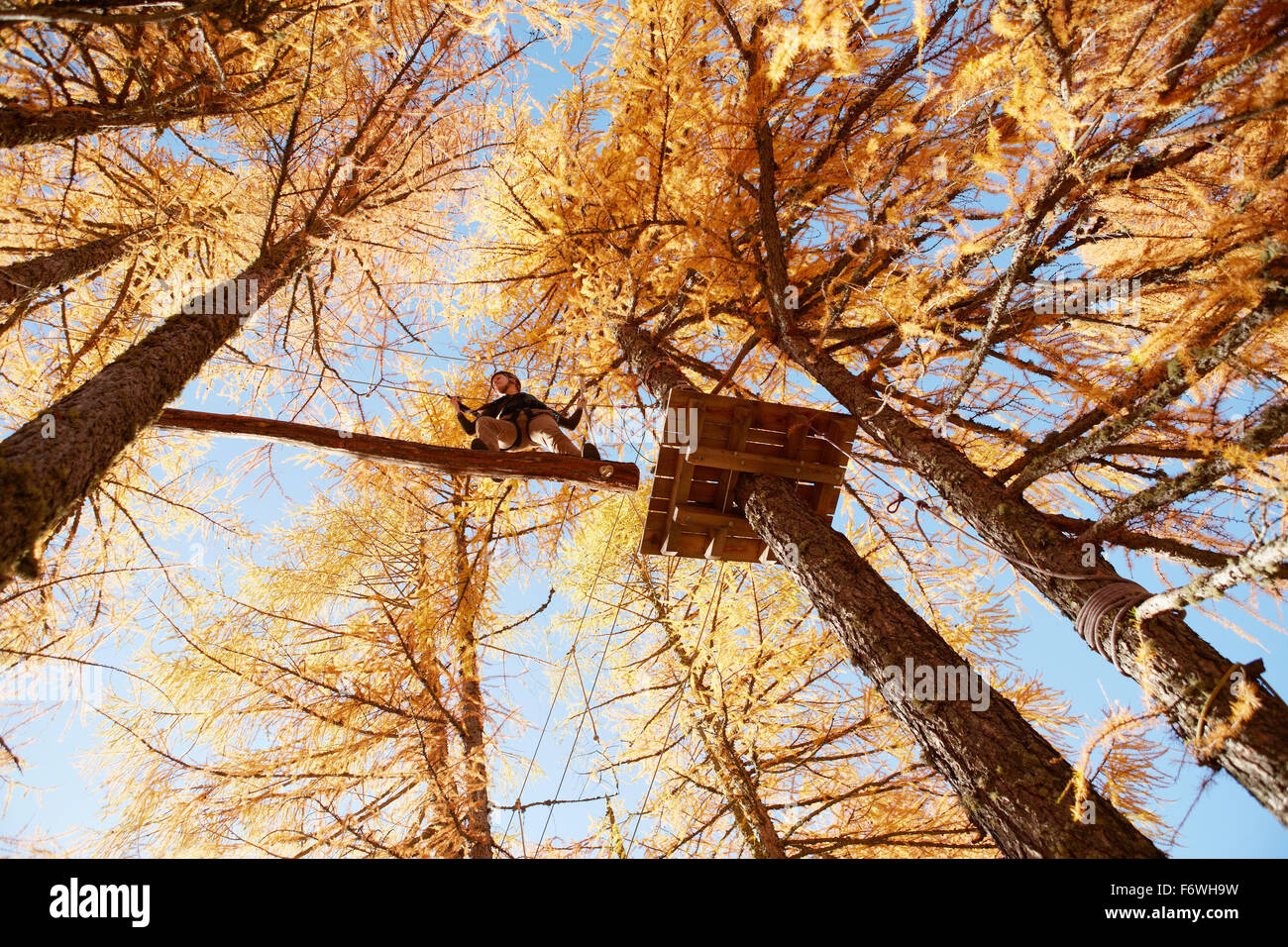 Woman in a high ropes course, Vernagt am See, Schnals Valley, South Tyrol, Italy Stock Photo
