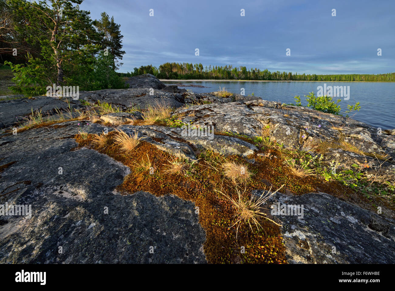 Shore of lake Onega, The Republic of Karelia, Russia Stock Photo