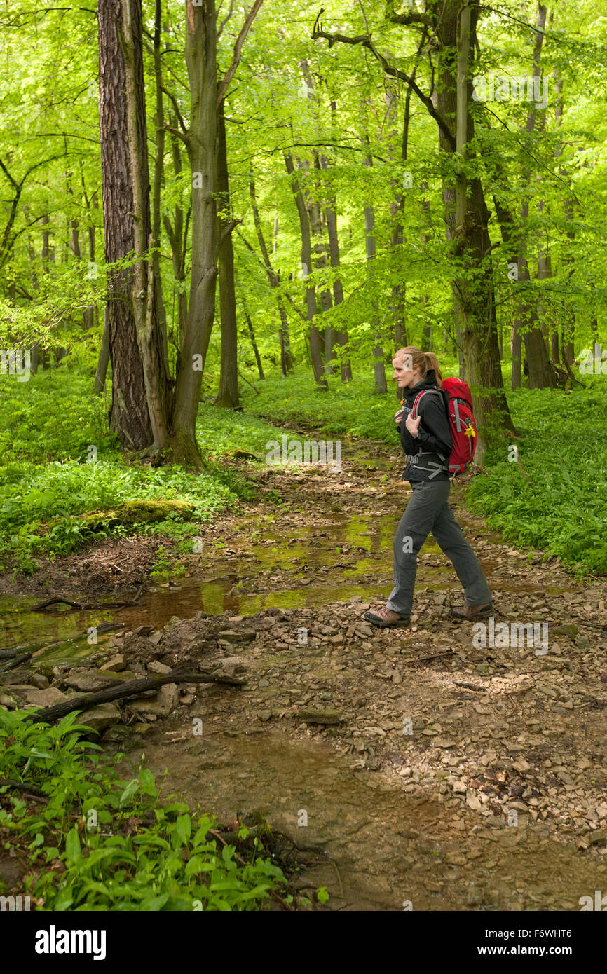 Woman hiking through wood hi-res stock photography and images - Alamy