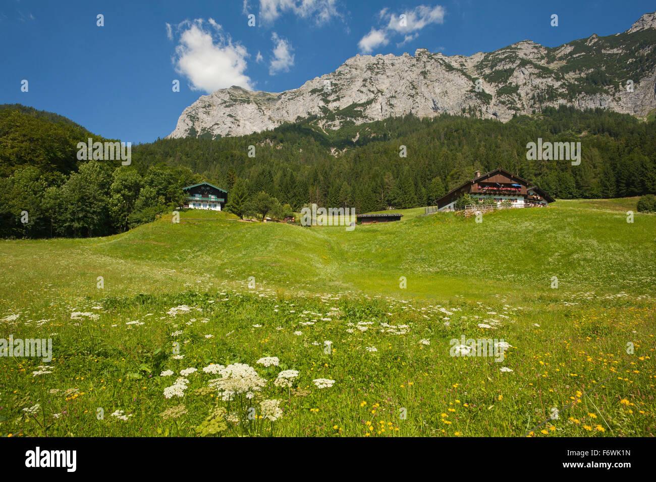 Farm at Hintersee, Reiteralpe in the background, near Ramsau, Berchtesgaden region, Berchtesgaden National Park, Upper Bavaria, Stock Photo