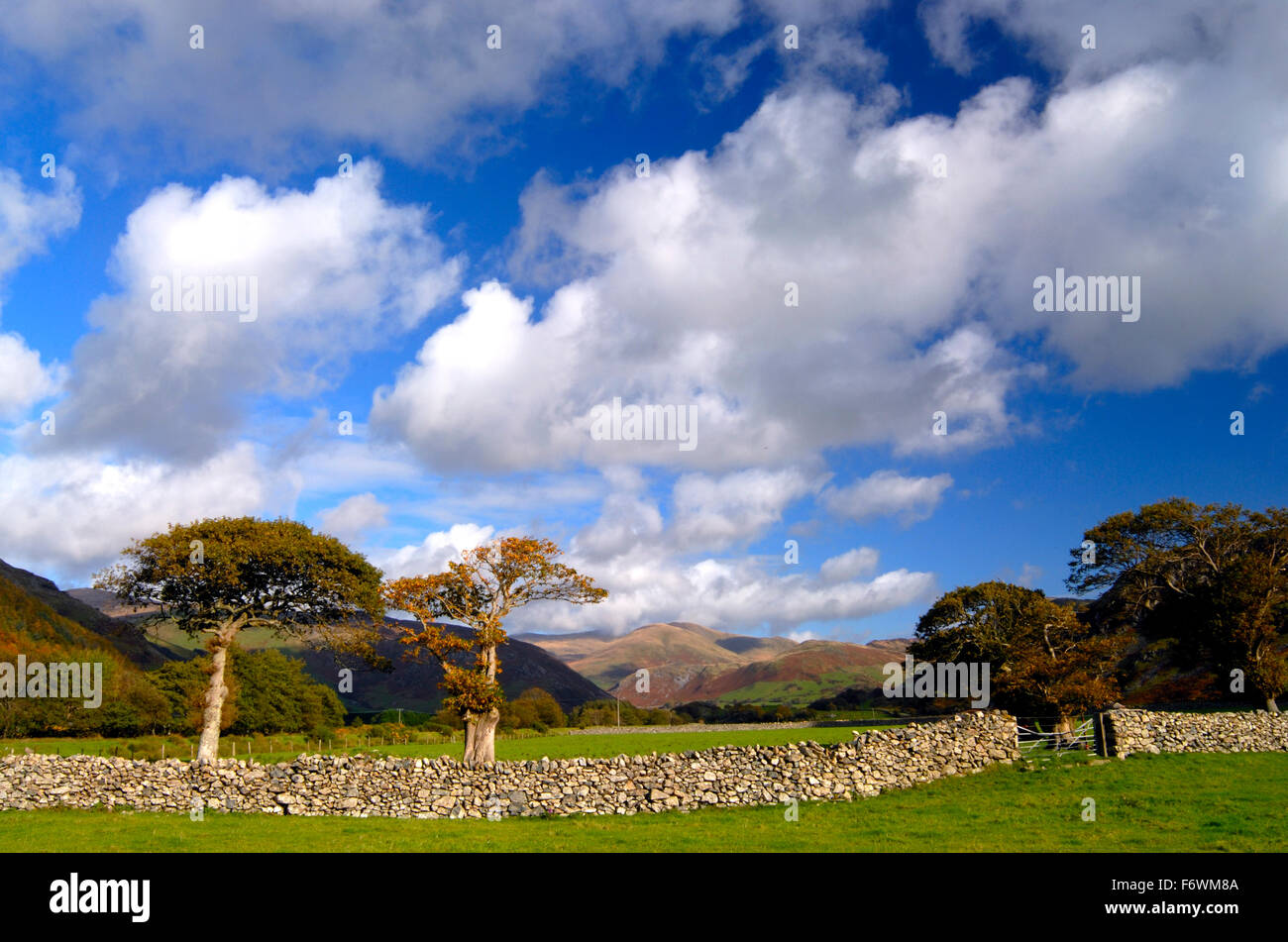 A view in the Dysynni Valley, Snowdonia National Park in the summer. Stock Photo