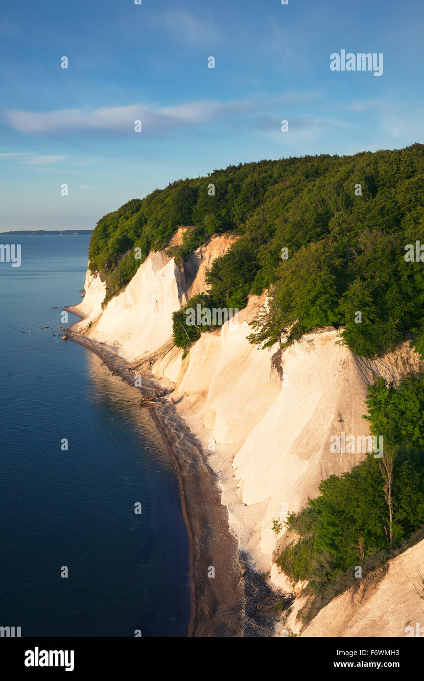 Chalk cliffs, Jasmund National Park, Ruegen island, Baltic Sea, Mecklenburg WesternPomerania