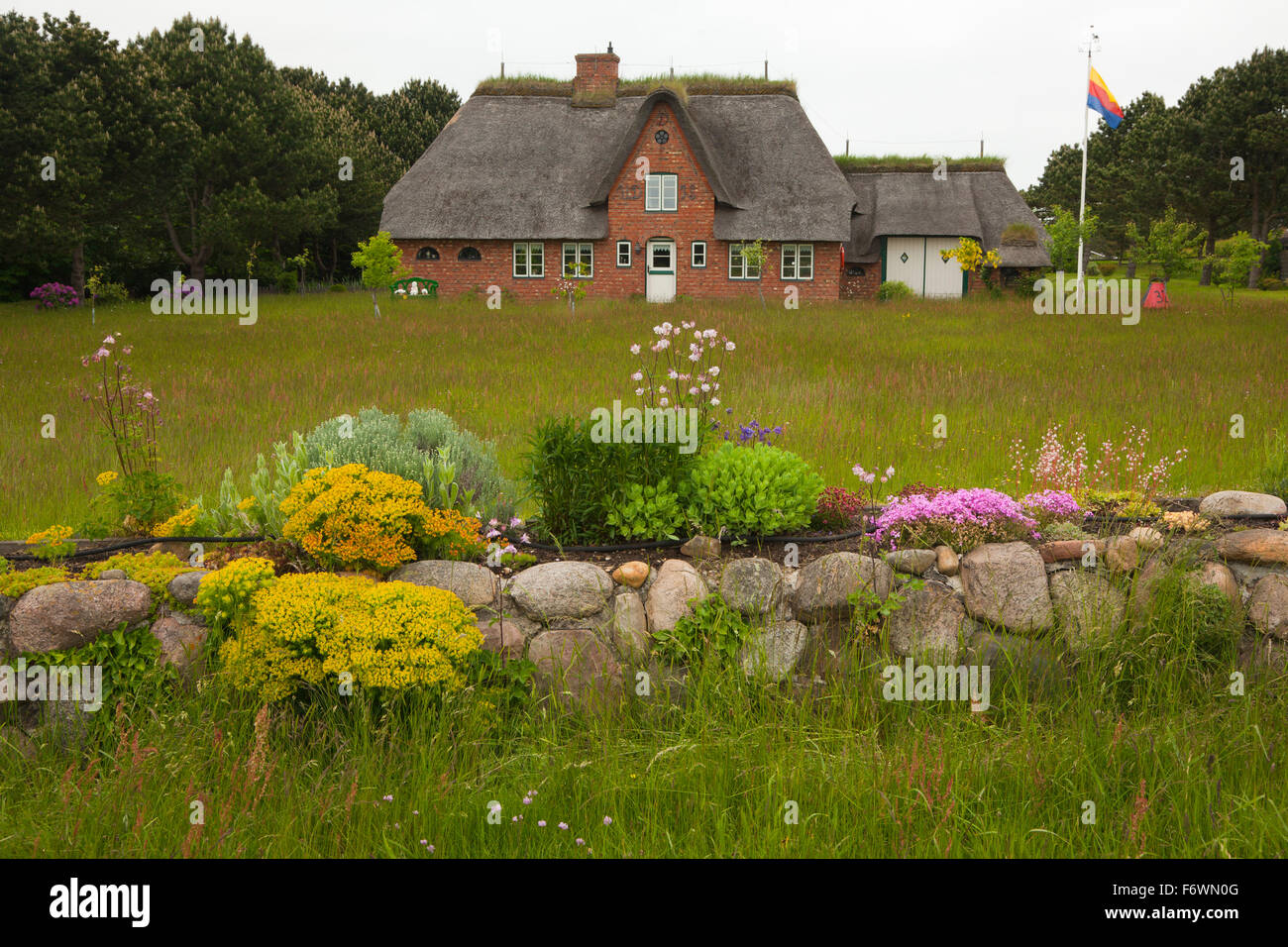 Stone wall in front of a frisian house with thatched roof, Nebel, Amrum island, North Sea, North Friesland, Schleswig-Holstein, Stock Photo