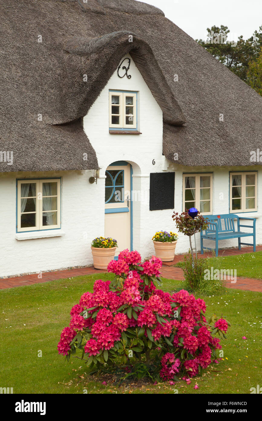 Amrum House Stock Photos Amrum House Stock Images Alamy