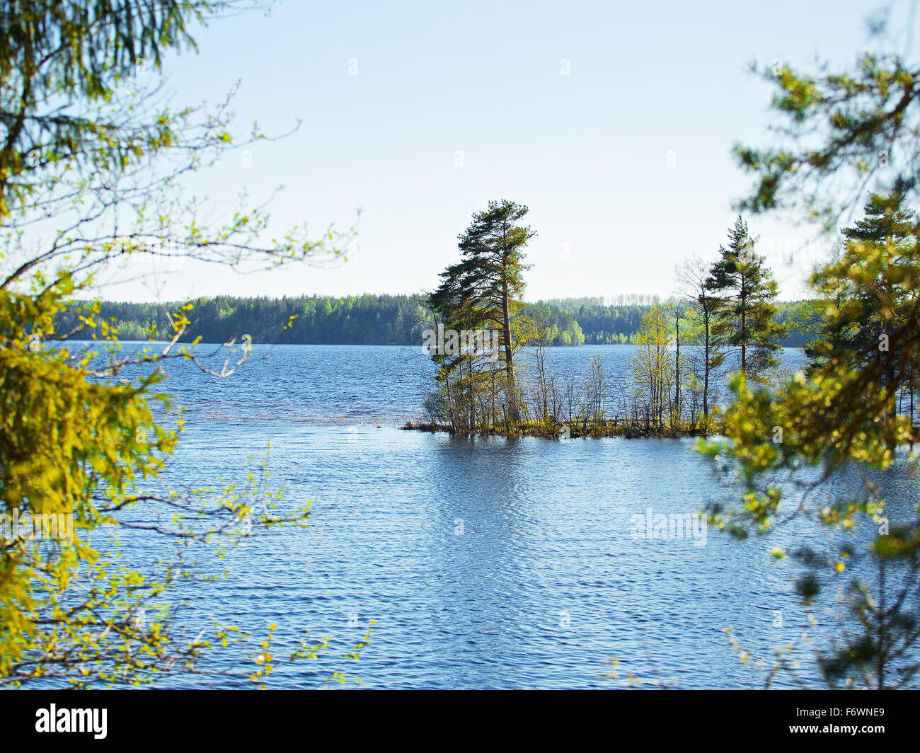 forest lake at summer day, in Russia, Kareliya Stock Photo